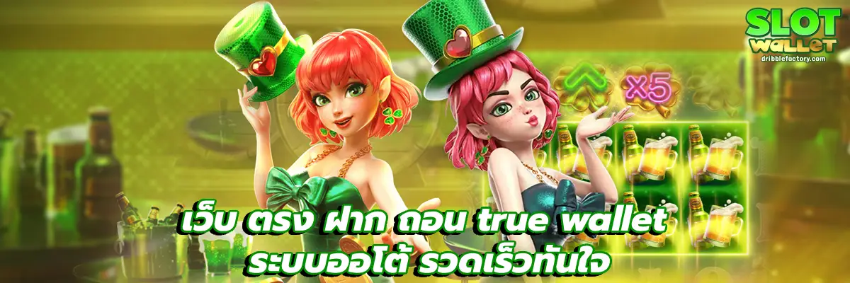 เว็บ ตรง ฝาก ถอน true wallet